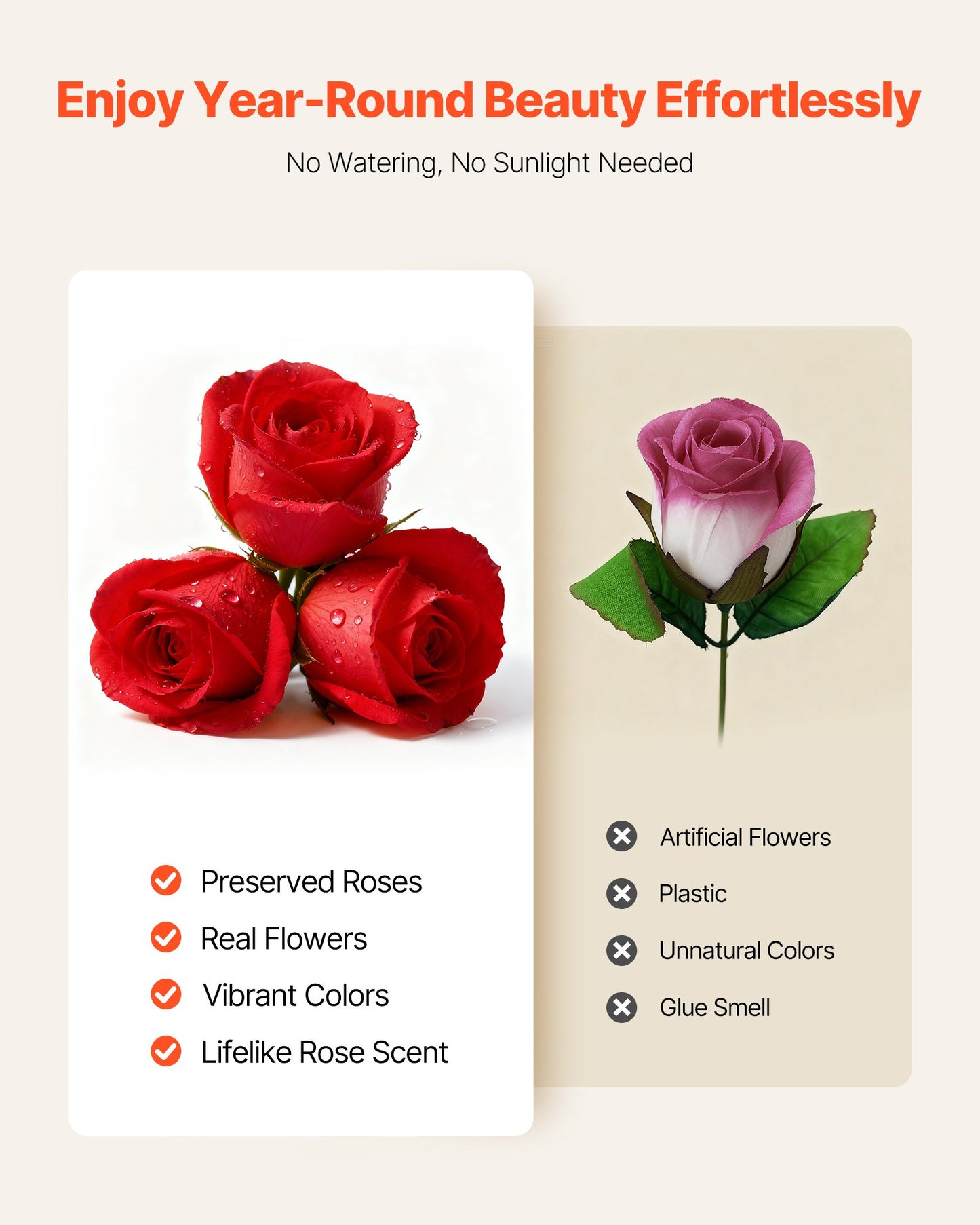 Forever Flowers, 50 Preserved Roses in A Heart Shape Box