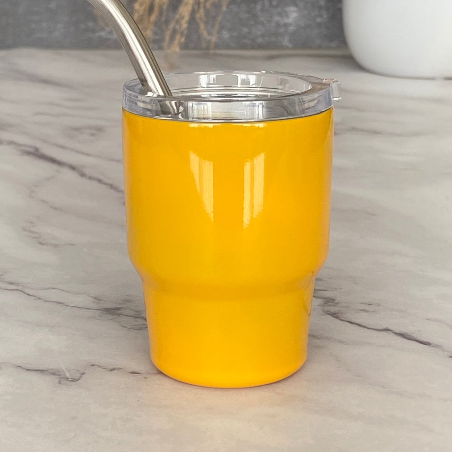 New! Mini Stainless Steel Tumbler with Straw