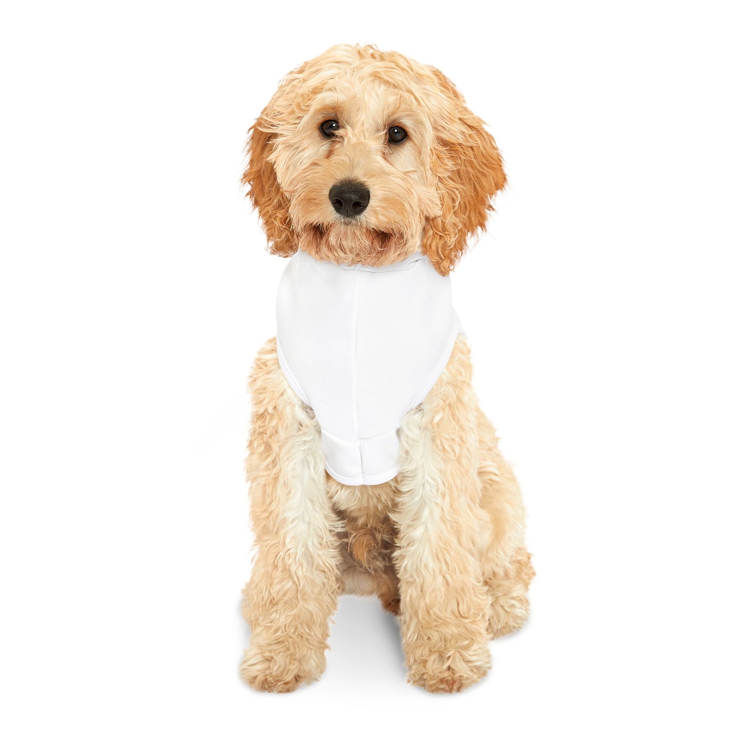 Adorable Pet Hoodie for Fashionable Furry Friends | Cute Dog Clothing, Pet Apparel, Unique Gifts for Pets, Cozy Hooded Sweatshirt