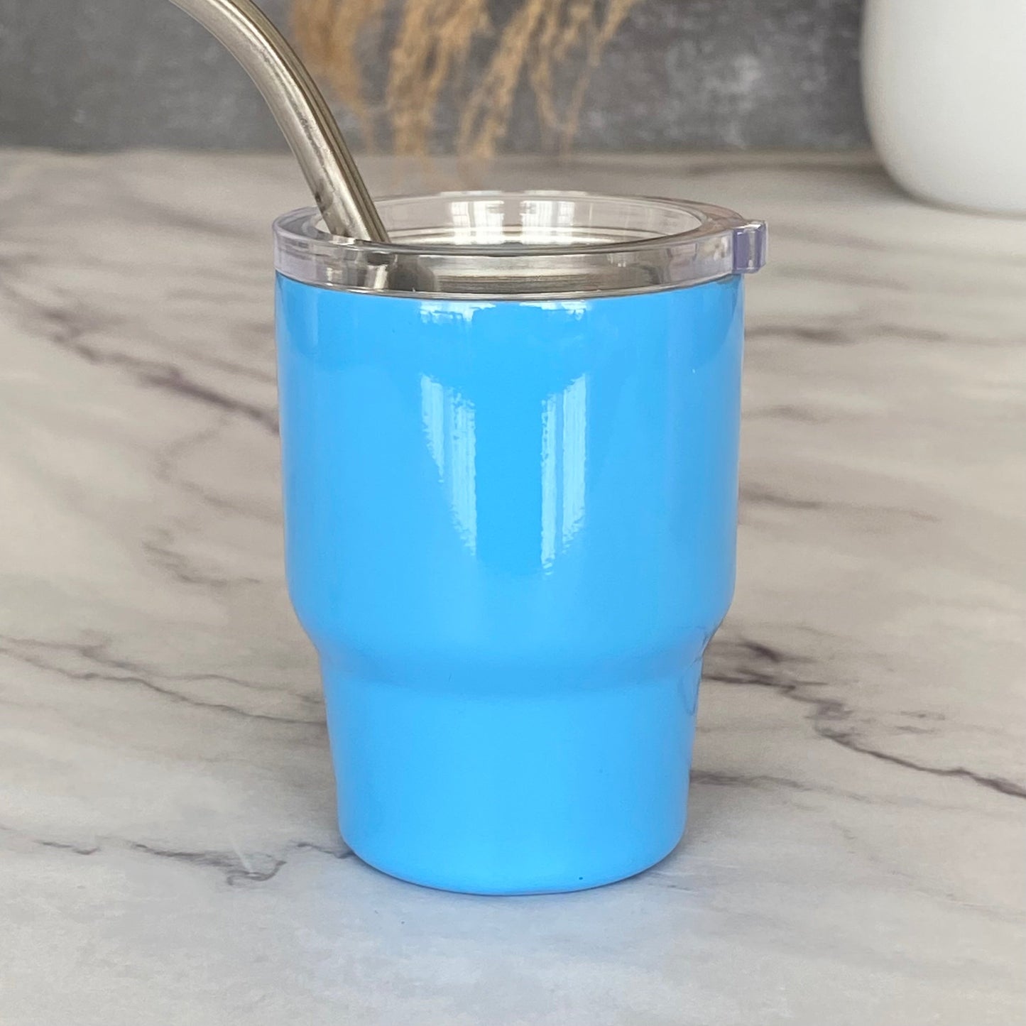 New! Mini Stainless Steel Tumbler with Straw