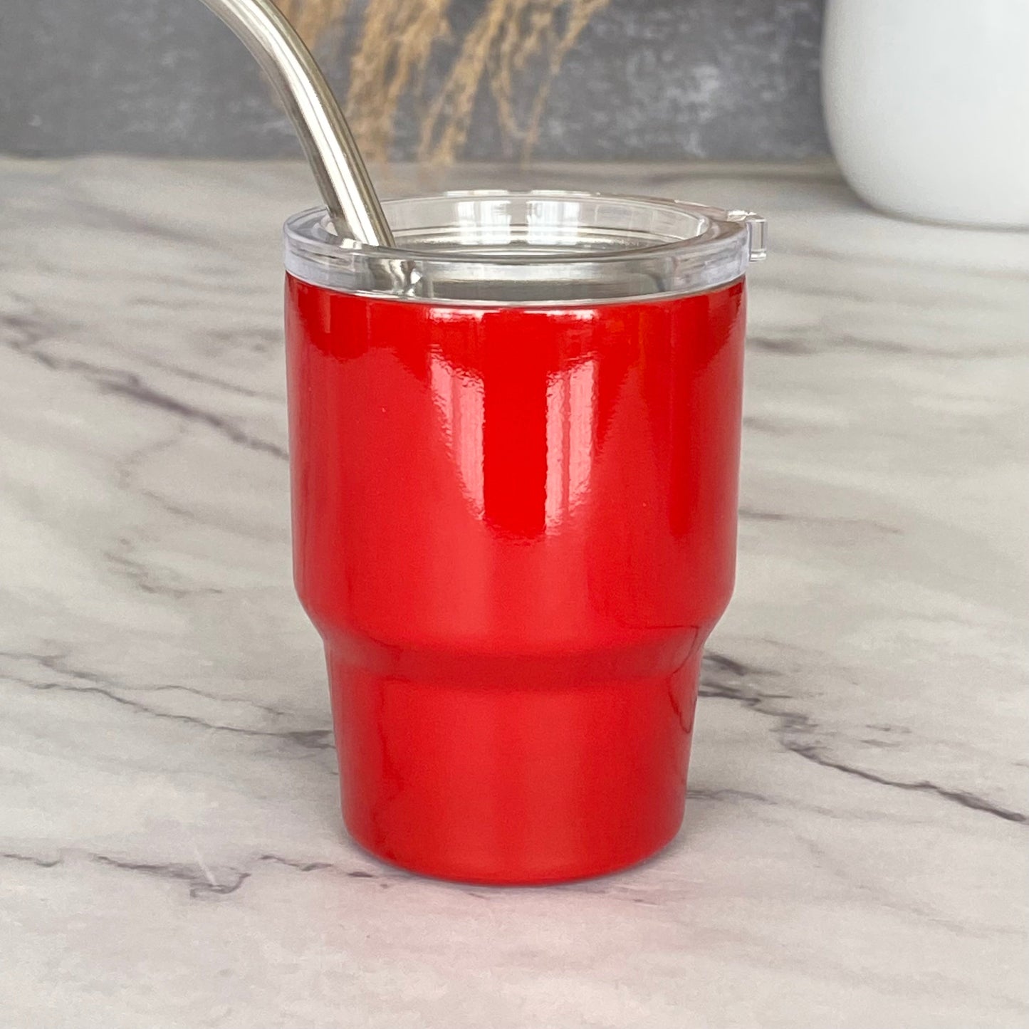 New! Mini Stainless Steel Tumbler with Straw
