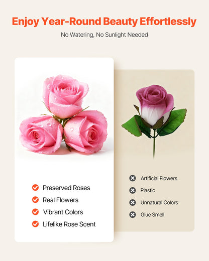 Forever Flowers, 50 Preserved Roses In A Box,