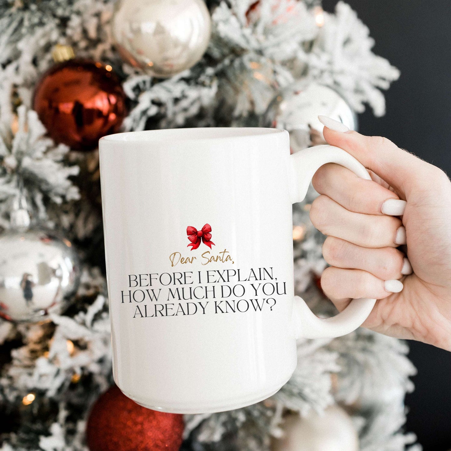 Dear Santa, Before I Explain Mug