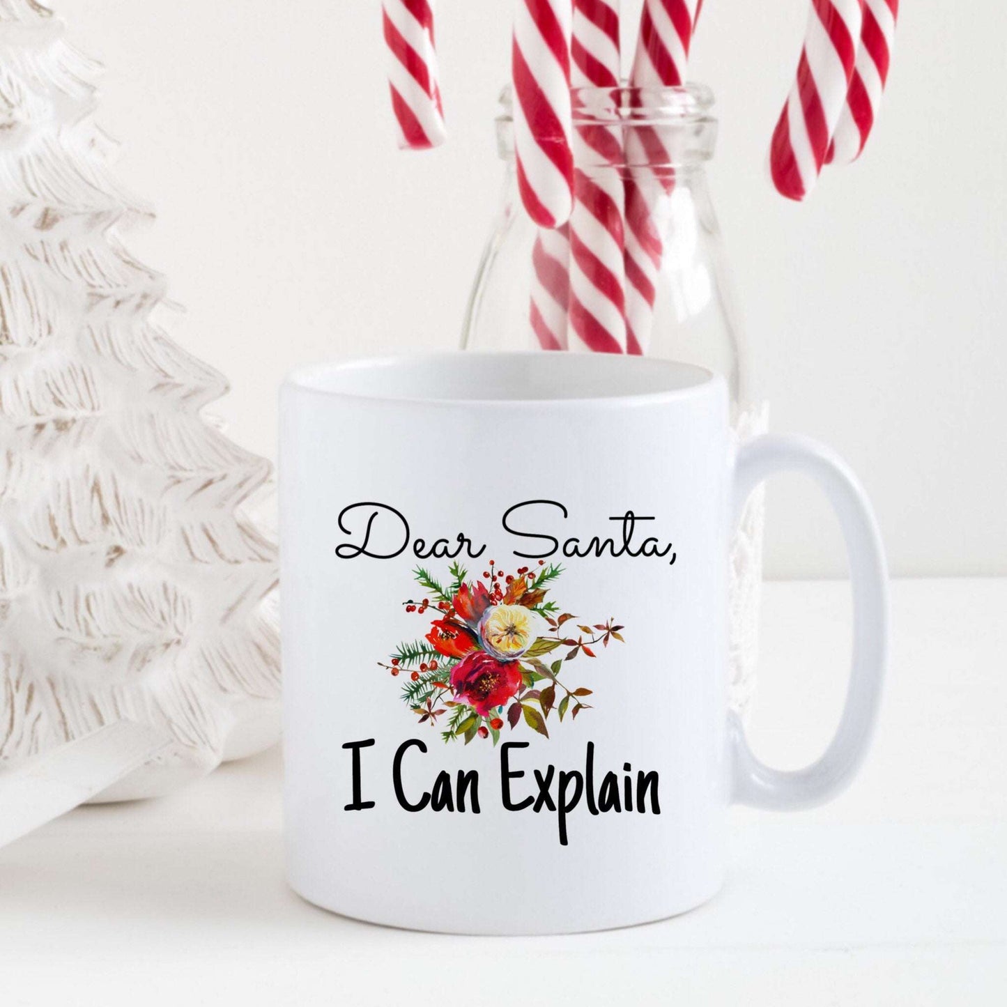 Dear Santa, I Can Explain